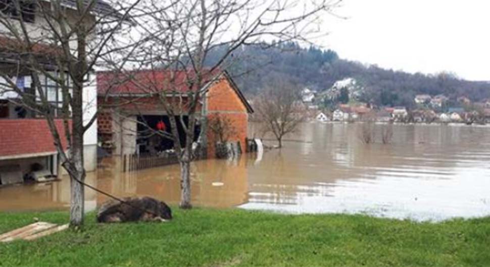 kostajnica poplava.jpg